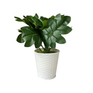 Planta Artificial 23 cm Filodendro