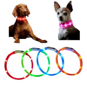 Collar Luminoso para Perro (ch) LED Recargable Ajustable 13 cm