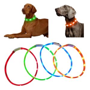 Collar Luminoso para Perro (gr) LED Recargable Ajustable 22 cm