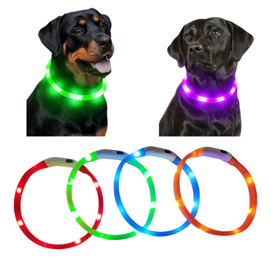 Collar Luminoso para Perro (med) LED Recargable Ajustable 17 cm - Imagen 2