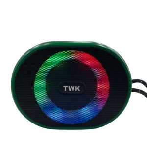 Parlante Ovalado Recargable LED Multicolor