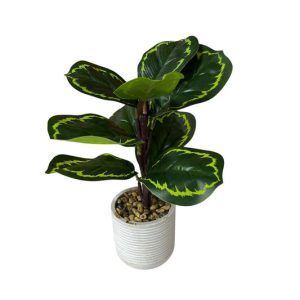 Planta Artificial 24 cm Calathea